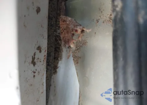 2024 Hyundai Venue Sel/Limited z USA, uszkodzony, nr VIN KMHRC8A32RU323165